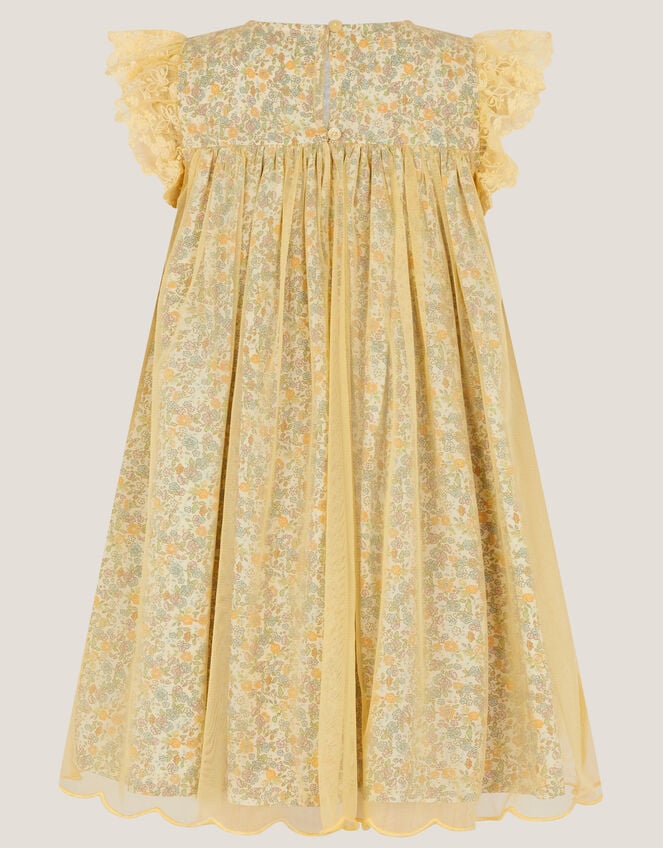 Darcie Ditsy Floral Mesh Dress, Yellow (YELLOW), large