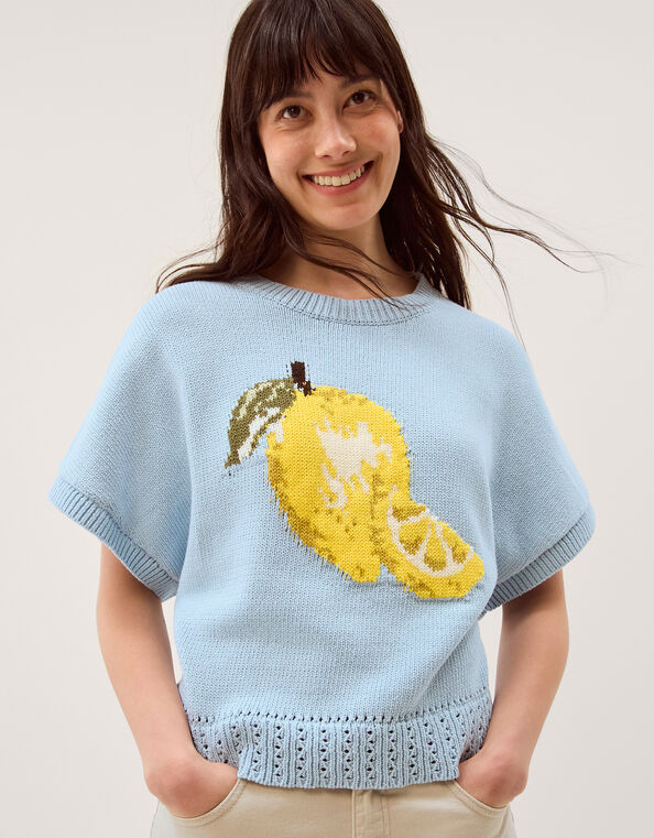 Lizzie Lemon Short Sleeve Sweater, Blue (BLUE), large