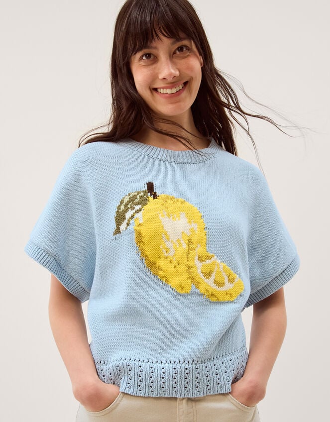 Lizzie Lemon Short Sleeve Jumper, Blue (BLUE), large