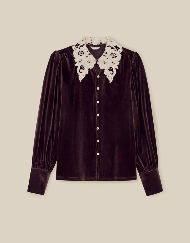 Leith Lace Collar Velvet Shirt, Brown (CHOCOLATE), large