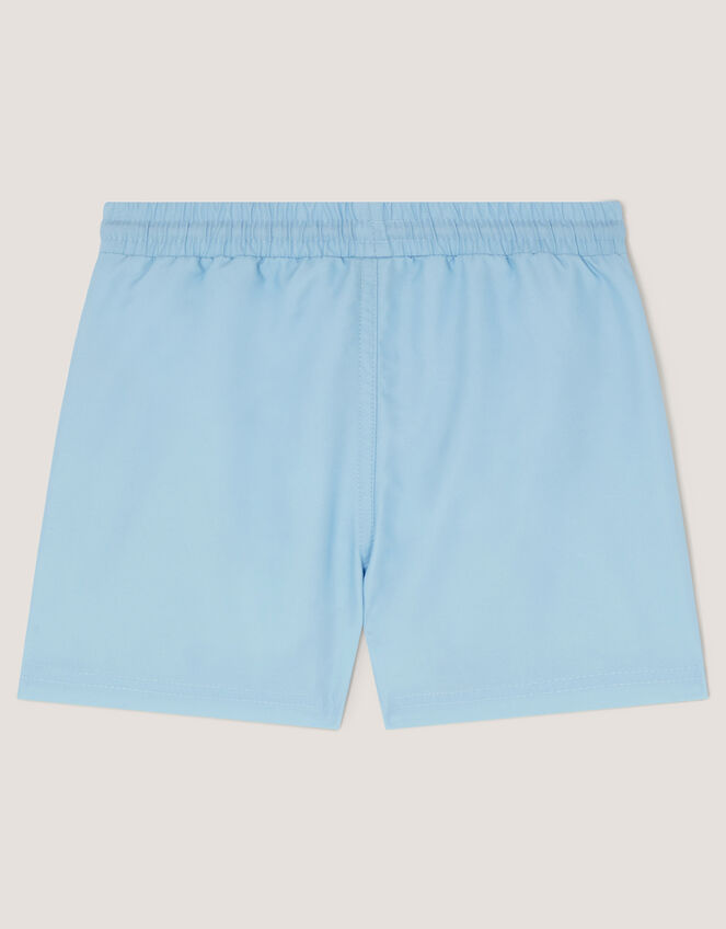 Scenic Print Swim Shorts, Blue (BLUE), large