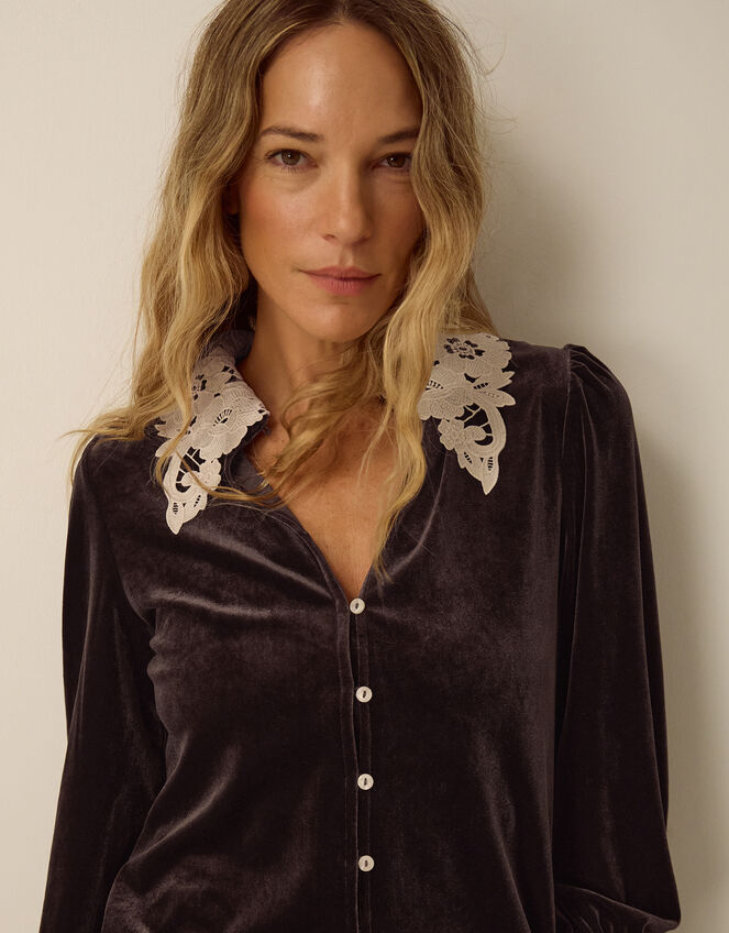 Leith Lace Collar Velvet Shirt, Brown (CHOCOLATE), large