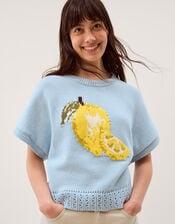 Lizzie Lemon Short Sleeve Jumper, Blue (BLUE), large