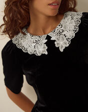 Lenora Lace Collar Velvet Top, Black (BLACK), large