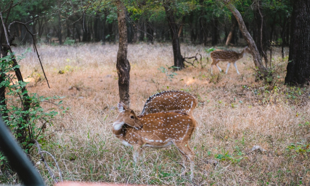 Prakratik Society case study gallery image 8